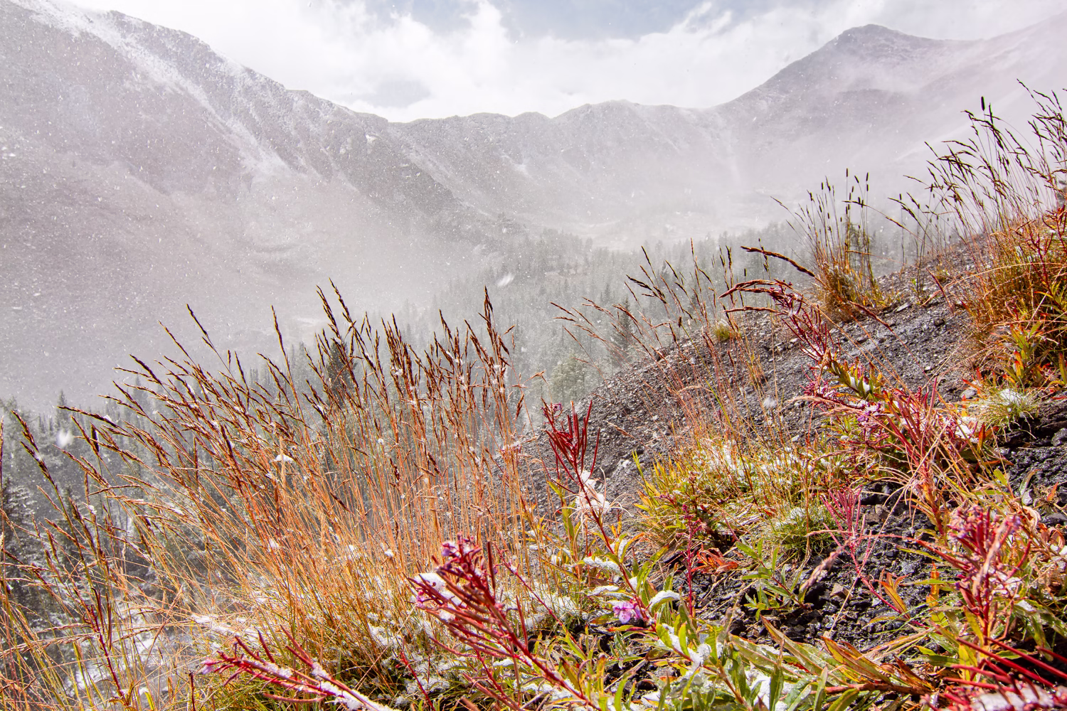 20150903-IMG_9124-Enhanced-NR