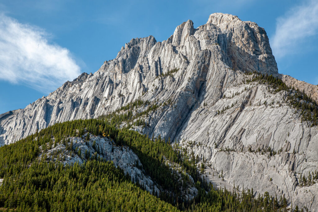 Abraham Slabs Chris Conway