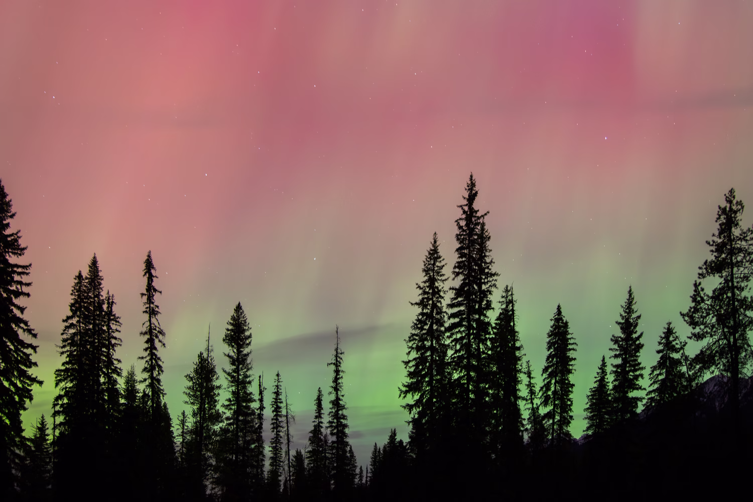 UTC 20240511-IMG_4203-Enhanced-NR